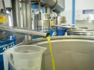 مراقبة جودة زيوت الزيتون: حماية المستهلك وضمان سلامة القطاع الغذائي مراقبة جودة زيوت الزيتون: حماية المستهلك وضمان سلامة القطاع الغذائي