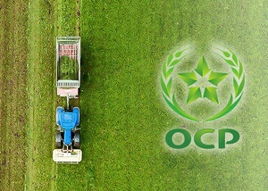 كتوسع مجموعتها بمنتوج جديد NP 5-42، سماد هجين للسوق الأوروبي كتوسع مجموعتها بمنتوج جديد NP 5-42، سماد هجين للسوق الأوروبي