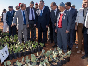 وزير الفلاحة يتفقد برامج “الجيل الأخضر” في إقليمي الجديدة وبنسليمان وزير الفلاحة يتفقد برامج “الجيل الأخضر” في إقليمي الجديدة وبنسليمان