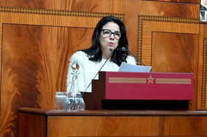 التحول الرقمي: إلزام تركيب الألياف البصرية في المباني الجديدة بالمغرب التحول الرقمي: إلزام تركيب الألياف البصرية في المباني الجديدة بالمغرب