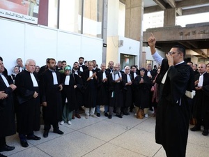 المحامون يتحركون بعد تسريب يسيء للمهنة