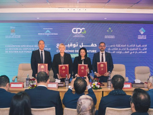 المغرب يطلق آلية تحفيزية لدعم صناديق الاستثمار الموجهة للشركات الناشئة المغرب يطلق آلية تحفيزية لدعم صناديق الاستثمار الموجهة للشركات الناشئة