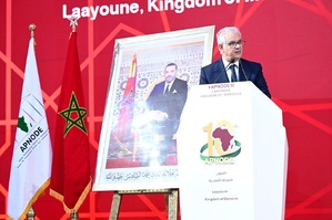 نزار بركة يمثل جلالة الملك في القمة السابعة للاتحاد الإفريقي – الاتحاد الأوروبي نزار بركة يمثل جلالة الملك في القمة السابعة للاتحاد الإفريقي – الاتحاد الأوروبي