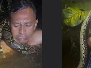 نجات مرشد سياحي في إندونيسيا بعد هجوم ثعبان ضخم على نهر بورنيو نجات مرشد سياحي في إندونيسيا بعد هجوم ثعبان ضخم على نهر بورنيو