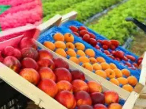 المغرب واستكشاف فرص السوق الإفريقية في القطاع الغذائي المغرب واستكشاف فرص السوق الإفريقية في القطاع الغذائي