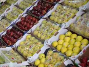 المغرب يطلق حملة تصدير جديدة للفاكهة والخضروات 2025-2026 المغرب يطلق حملة تصدير جديدة للفاكهة والخضروات 2025-2026