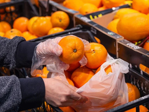 ارتفاع واردات روسيا من “اليوسفي” المغربي بنسبة 74% خلال 2025