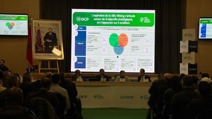 OCP تطلق ثلاث محطات شمسية بقدرة 202 ميغاوات في خريبكة وبنجرير OCP تطلق ثلاث محطات شمسية بقدرة 202 ميغاوات في خريبكة وبنجرير