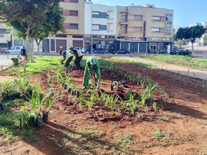 المحمدية تعود إلى لقب "مدينة الزهور" بحملة تشجير واسعة لتعزيز الجمالية البيئية المحمدية تعود إلى لقب "مدينة الزهور" بحملة تشجير واسعة لتعزيز الجمالية البيئية