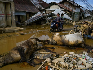 فيضانات وانهيارات أرضية في جزيرة سومطرة الإندونيسية تتسبب في مقتل 950 شخصًا وفقدان المئات فيضانات وانهيارات أرضية في جزيرة سومطرة الإندونيسية تتسبب في مقتل 950 شخصًا وفقدان المئات