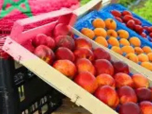 المغرب يبرز جودة منتجاته الغذائية في باريس