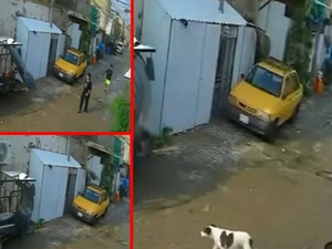 العراق: نجاة طفلة من الموت صعقاً بالكهرباء ووفاة كلب… العراق: نجاة طفلة من الموت صعقاً بالكهرباء ووفاة كلب…