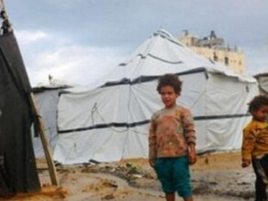 تفاقم المأساة الإنسانية في غزة رغم استمرار وقف إطلاق النار لليوم الثالث والستين