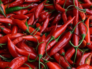 رفض أوروبي جديد للصادرات المغربية : هل تكفي بلاغات لونسا "المطمئنة" لمواجهة المخاطر المتزايدة على سمعة الفلاحة الوطنية؟