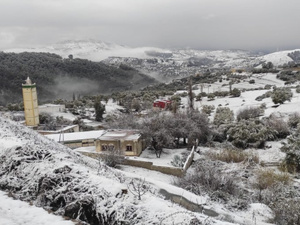 تاونات تواجه موجة البرد بتعبئة استباقية وحزمة تدابير متعددة