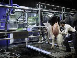 افتتاح مركز كارفور زناتة الجديد في الدار البيضاء افتتاح مركز كارفور زناتة الجديد في الدار البيضاء