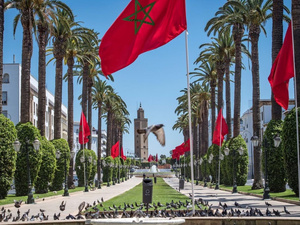 المغرب نموذج رائد في شفافية الضرائب بأفريقيا وفق تقرير G20 2024 المغرب نموذج رائد في شفافية الضرائب بأفريقيا وفق تقرير G20 2024