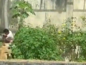 وفاة شاب برازيلي داخل قفص أسد تعيد طرح أسئلة السلامة والصحة النفسية وفاة شاب برازيلي داخل قفص أسد تعيد طرح أسئلة السلامة والصحة النفسية