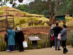 بعد سنوات من الإغلاق.. حديقة الحيوانات عين السبع تفتح أبوابها للبيضاويين