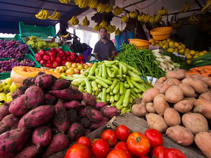 تقلبات الطقس ترفع أسعار الخضراوات في المغرب: الأمطار تعرقل الحصاد والأسواق تتأثر تقلبات الطقس ترفع أسعار الخضراوات في المغرب: الأمطار تعرقل الحصاد والأسواق تتأثر