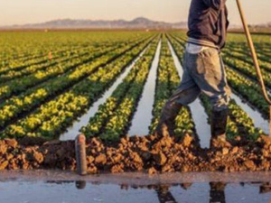 المغرب يعلن الخروج من دائرة الجفاف بعد سبع سنوات من الضغط المائي المغرب يعلن الخروج من دائرة الجفاف بعد سبع سنوات من الضغط المائي