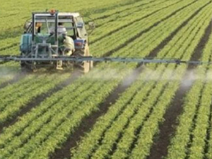 البرلمان يعيد فتح ملف “مخطط المغرب الأخضر”: تقييم الحصيلة واستشراف آفاق الأمن الغذائي