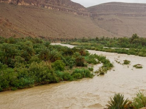 تحسن نسبي لمخزون السدود بالمغرب وسط تفاوت بين الأحواض المائية