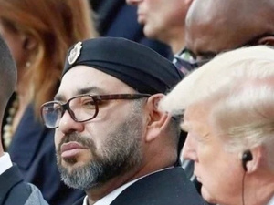 دعوة ملكية من أجل السلام: قراءة في أبعاد مبادرة تأسيس مجلس السلام دعوة ملكية من أجل السلام: قراءة في أبعاد مبادرة تأسيس مجلس السلام