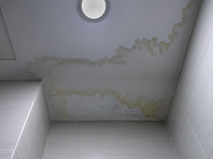 كيفية إزالة هالة الماء عن السقف ومنع عودتها كيفية إزالة هالة الماء عن السقف ومنع عودتها