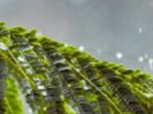 أمطار وثلوج ورياح قوية: اضطرابات جوية مرتقبة بعدد من مناطق المملكة