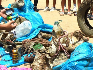 دراسة تحذر: الأضرار الصحية للبلاستيك قد تتضاعف بحلول 2040 دراسة تحذر: الأضرار الصحية للبلاستيك قد تتضاعف بحلول 2040