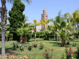 لفتيت يكشف استراتيجية متكاملة لحماية الحدائق العمومية… مراكش نموذجًا