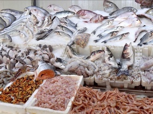 ارتفاع الأسعار وضعف الرقابة يعيقان استهلاك السمك في المغرب ارتفاع الأسعار وضعف الرقابة يعيقان استهلاك السمك في المغرب