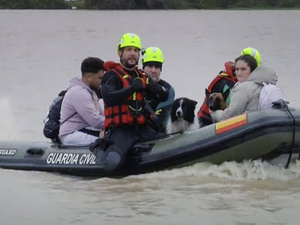 السلطات الإسبانية تُخلي أحياء من خيريث عقب فيضان نهر غواداليتي السلطات الإسبانية تُخلي أحياء من خيريث عقب فيضان نهر غواداليتي