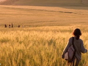 سينما تالا حديد: حين تتحول الصورة إلى سؤال مفتوح سينما تالا حديد: حين تتحول الصورة إلى سؤال مفتوح