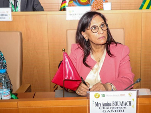 إفريقيا بين رهانات الحقوق وتحديات الواقع: ترافع بوعياش من ياوندي إفريقيا بين رهانات الحقوق وتحديات الواقع: ترافع بوعياش من ياوندي