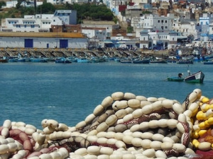 استئناف جزئي لنشاط الصيد بميناء العرائش بعد تحسن الأحوال الجوية استئناف جزئي لنشاط الصيد بميناء العرائش بعد تحسن الأحوال الجوية