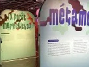 معرض «Métamorphoses» في غاليري إسباس إكسبريشن CDG: رحلة فنية في التحوّل والإبداع