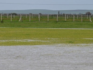 فيضانات شمال وغرب المغرب: تقديرات أولية تشير إلى تضرر 20 إلى 25% من الأراضي الفلاحية فيضانات شمال وغرب المغرب: تقديرات أولية تشير إلى تضرر 20 إلى 25% من الأراضي الفلاحية