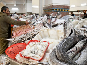 الأسماك في رمضان: وفرة مقبلة وأسعار متوقعة مع تحسن الأحوال الجوية الأسماك في رمضان: وفرة مقبلة وأسعار متوقعة مع تحسن الأحوال الجوية