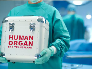 التبرع بالأعضاء في فرنسا: تحديات وفرص لإنقاذ المزيد من الأرواح التبرع بالأعضاء في فرنسا: تحديات وفرص لإنقاذ المزيد من الأرواح
