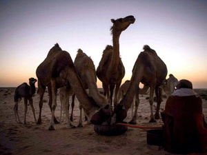 رمضان في الأقاليم الجنوبية للمملكة: تقاليد صحراوية تجمع بين الروحانية والبساطة الاجتماعية