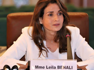 المغرب يشارك في الاجتماع الوزاري 2026 للوكالة الدولية للطاقة بباريس