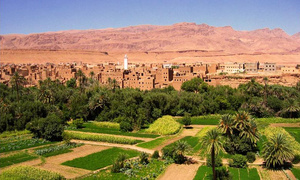 ​الحكومة تعتمد مرسومين لاستكمال إصلاح أراضي الجماعات السلالية وتسريع عملية التمليك