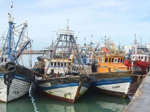 ميناء العيون يسجل انتعاشة قوية في مفرغات السردين بعد رفع الحظر ميناء العيون يسجل انتعاشة قوية في مفرغات السردين بعد رفع الحظر