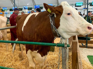 الخراطي : الفحص المنتظم والتدخل المنهجي السبيل الوحيد لاحتواء السل وحماية الصحة العامة