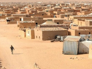 دعوة أممية لتعزيز حقوق الإنسان في مخيمات تندوف دعوة أممية لتعزيز حقوق الإنسان في مخيمات تندوف