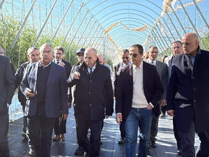 1500 هكتار متضررة من الرياح بسوس ماسة… والحكومة تبحث آليات الدعم