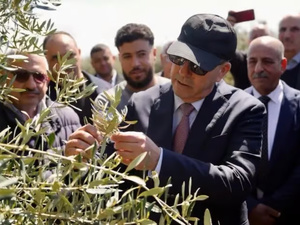 رياح قوية تضرب اشتوكة آيت باها.. وزير الفلاحة يقف على حجم الأضرار ويؤكد دعم المتضررين رياح قوية تضرب اشتوكة آيت باها.. وزير الفلاحة يقف على حجم الأضرار ويؤكد دعم المتضررين