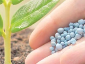 التوترات في الشرق الأوسط تربك سوق الأسمدة العالمية التوترات في الشرق الأوسط تربك سوق الأسمدة العالمية